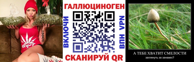 Псилоцибиновые грибы Magic Shrooms  Харабали 